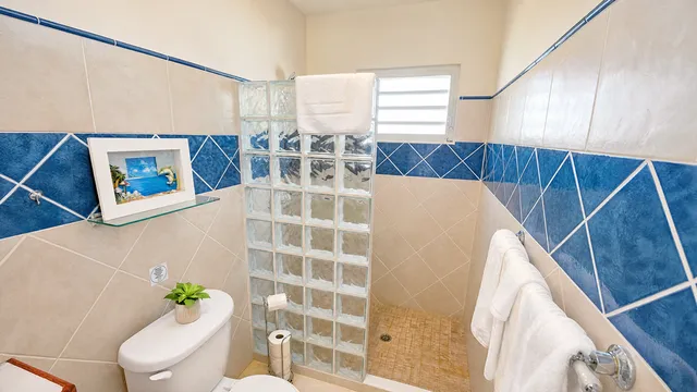 Bathroom with blue tilework